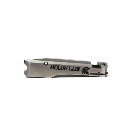 Ruger Bolt MOLON LABE